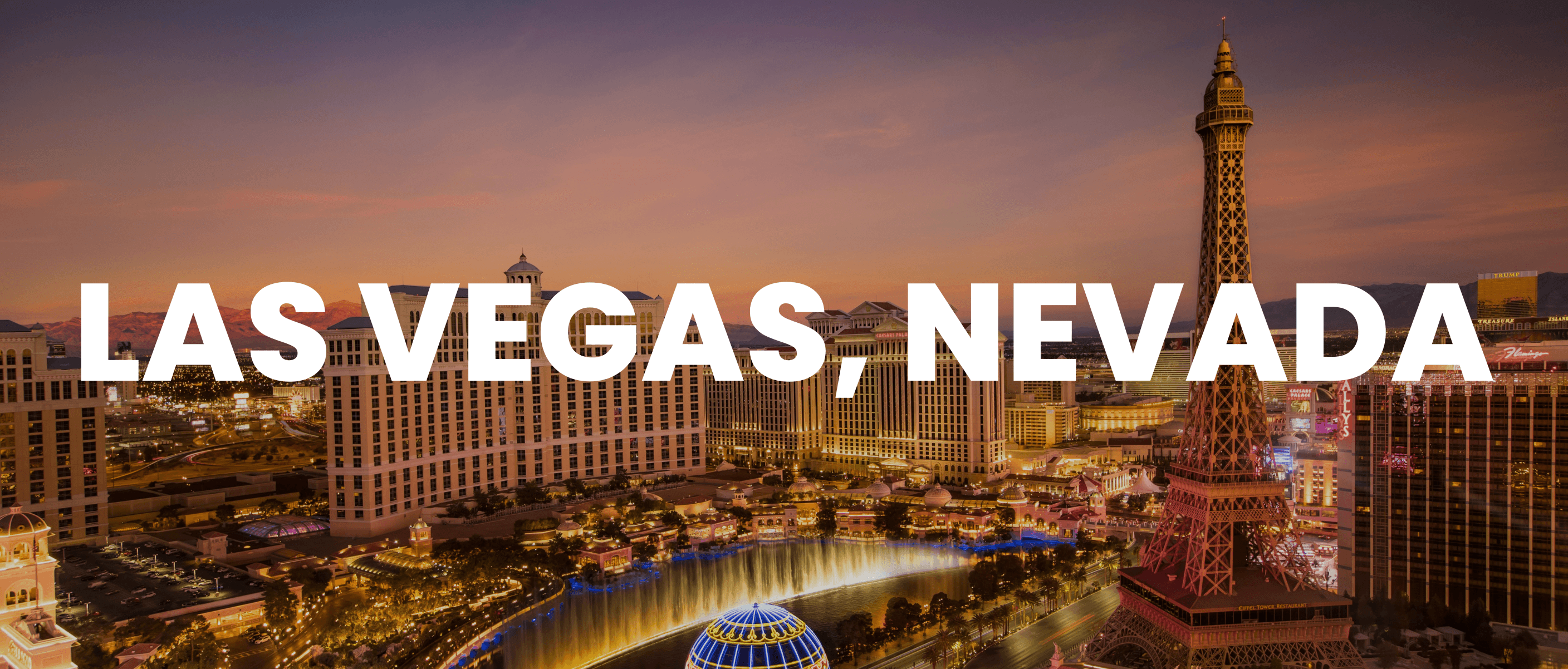 Las Vegas, Nevada event banner