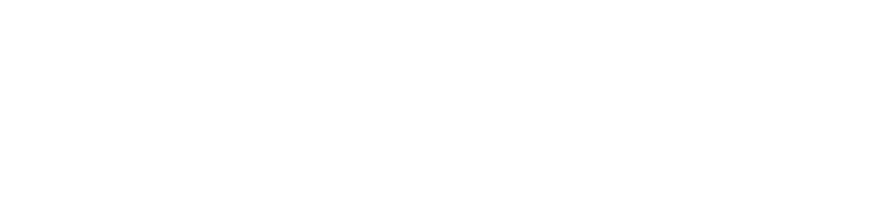 Press Logo
