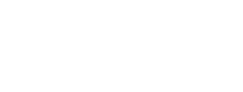 Press Logo