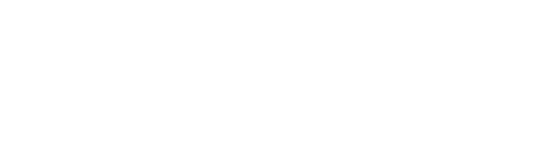 Press Logo