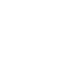 Press Logo