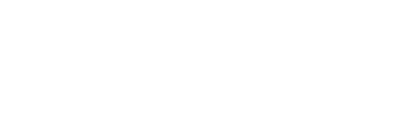 Press Logo