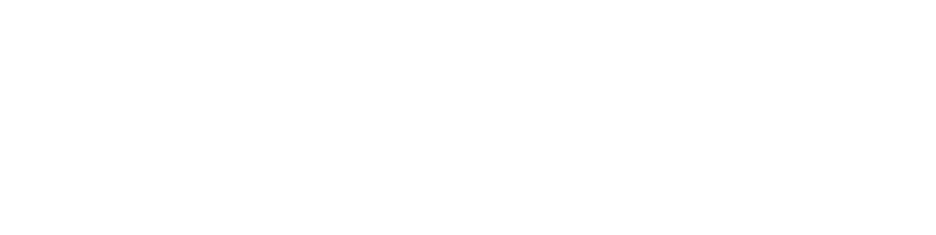 Press Logo
