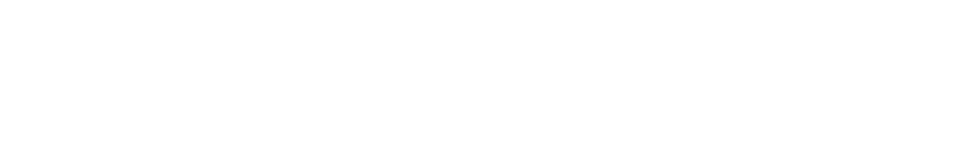 Press Logo