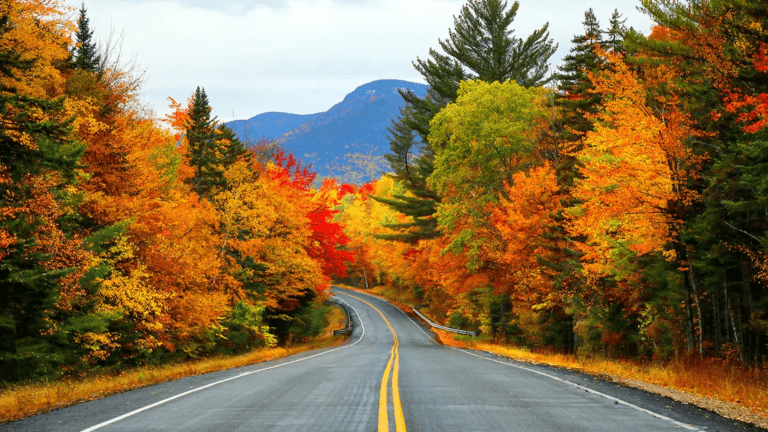 Crewfare Blog: The 10 Best Places to See Fall Colors in the U.S.