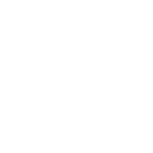 Press Logo