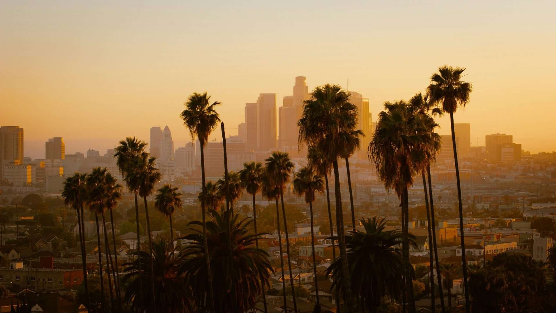 Los Angeles City Guide