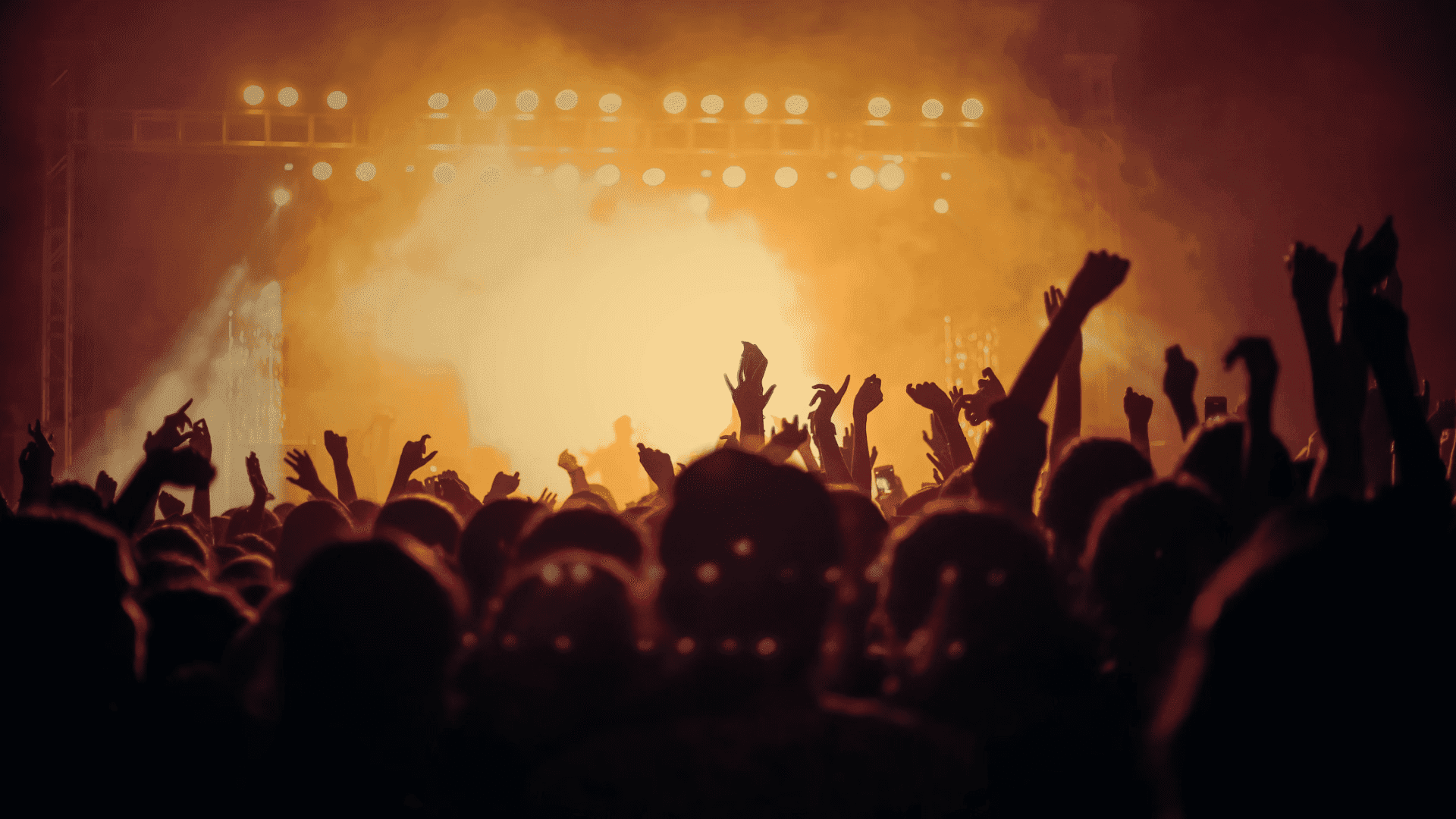 Tours & Live Shows