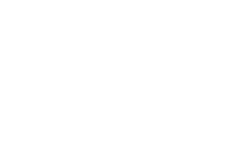 Press Logo