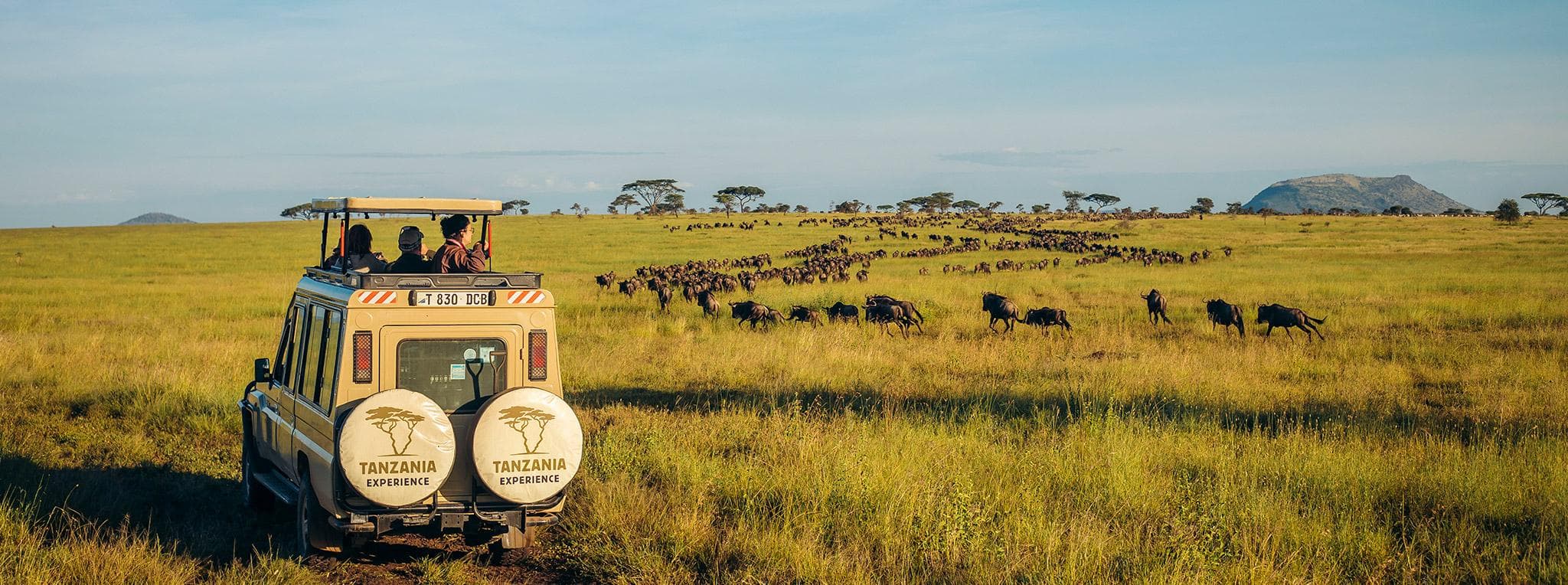 Serengeti, Tanzania event banner