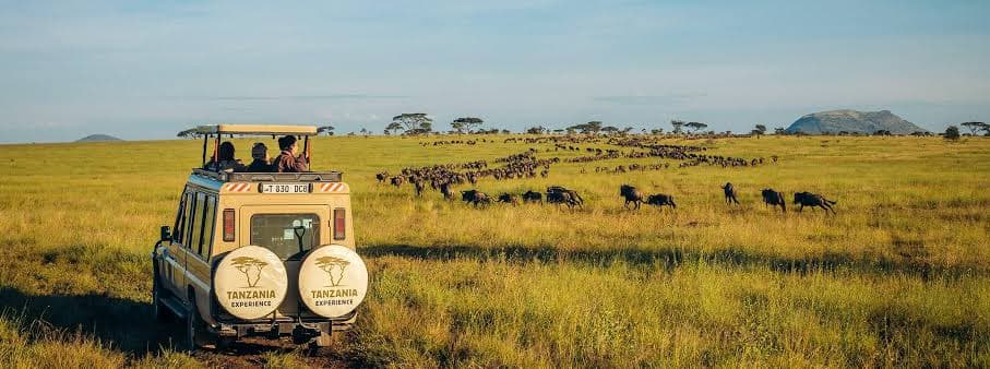 Serengeti, Tanzania event banner