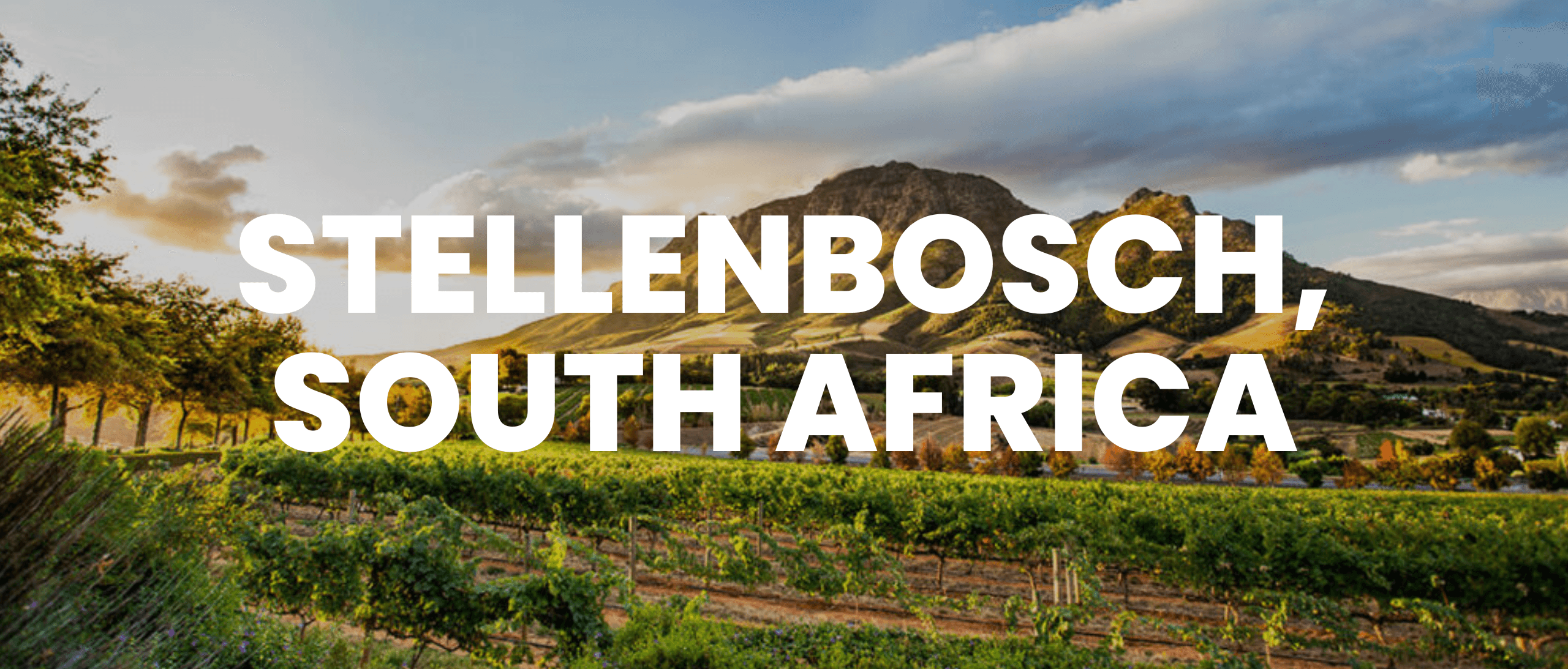 Stellenbosch, South Africa event banner